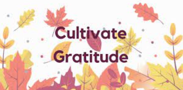 Cultivating Gratitude for Everyday Life